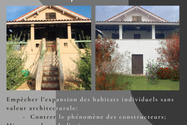 larenovation.png