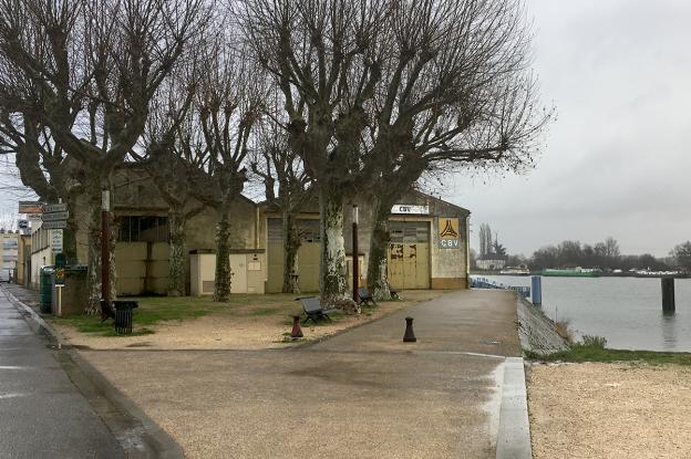Halle CBV