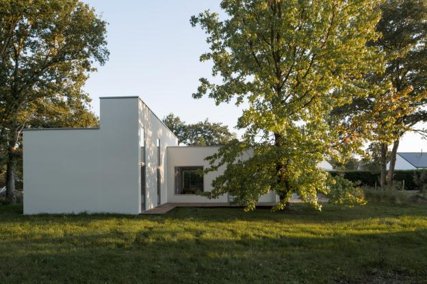 La Maison autour de l'arbre