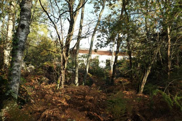 Rénovation de maison dans la forêt de fontainebleau