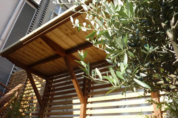 abbr-architectes-renovation-extension-paris-terrasse-5721b.jpg