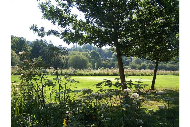 1ere_photo_site.jpg