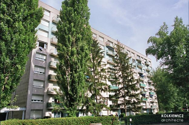Élisée Châtin à Grenoble
