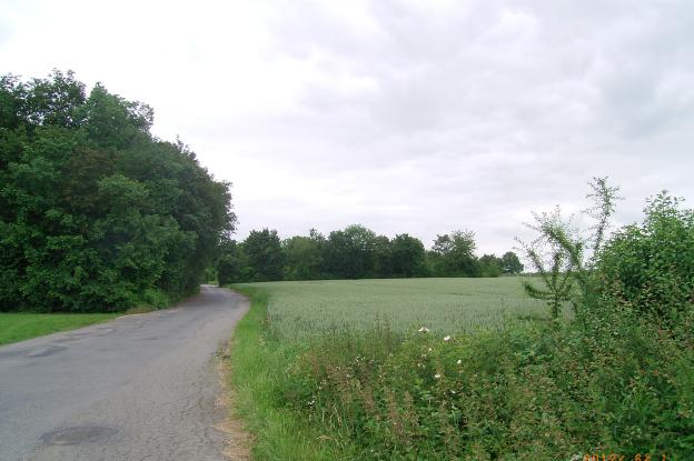 Vue du terrain avant travaux