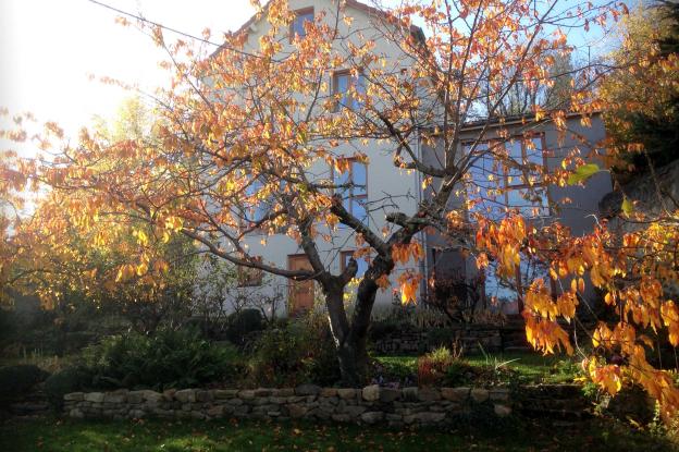 jardin_automne.jpg