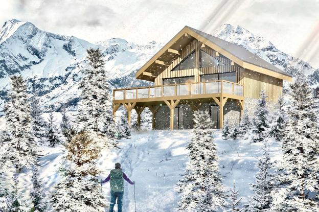 Perspective du projet