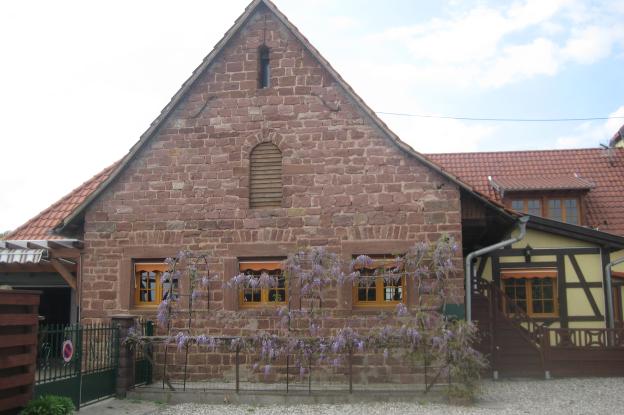 hegeney_1.jpg