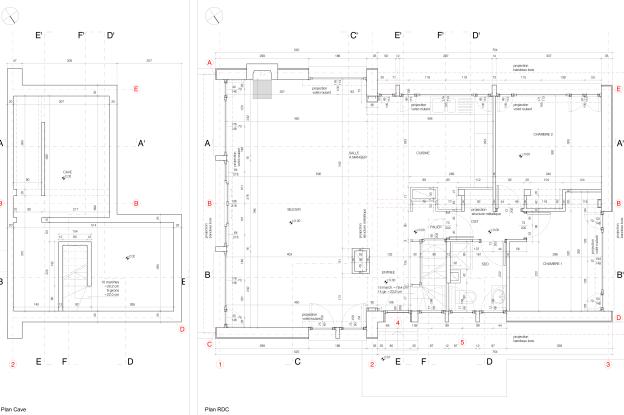 Extension SER - Cave / RDC