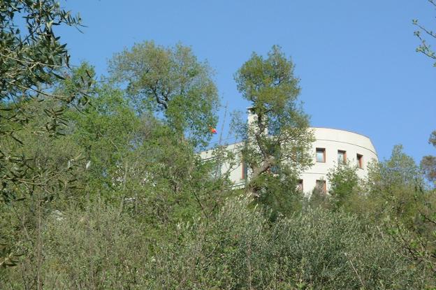 dscf0256.jpg
