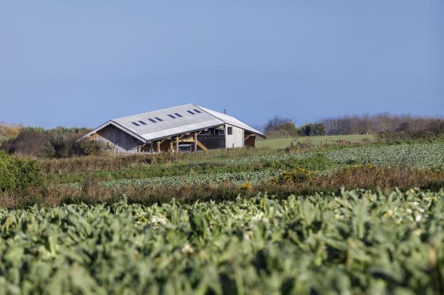 Ferme biologique à PLOUGRESCANT, vue extérieure, photographie Frédéric BARON