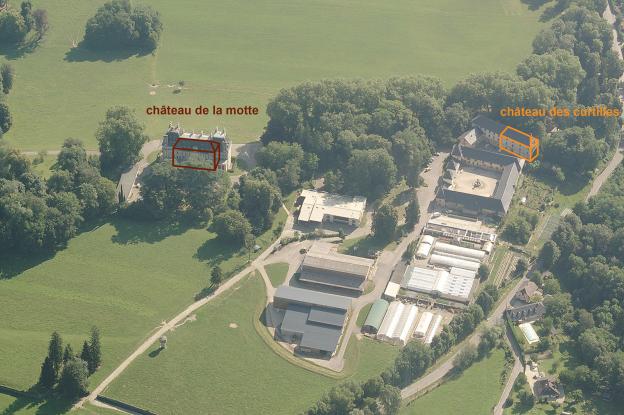 motte01.jpg