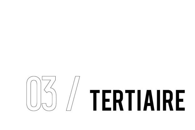 intercalaire_tertiaire_a4.jpg