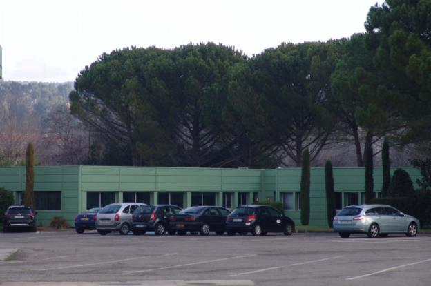 137.jpg