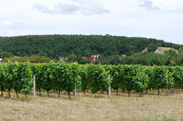vue_depuis_la_route_de_chinon.jpg