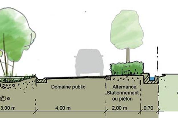 sch-voie-noue.jpg