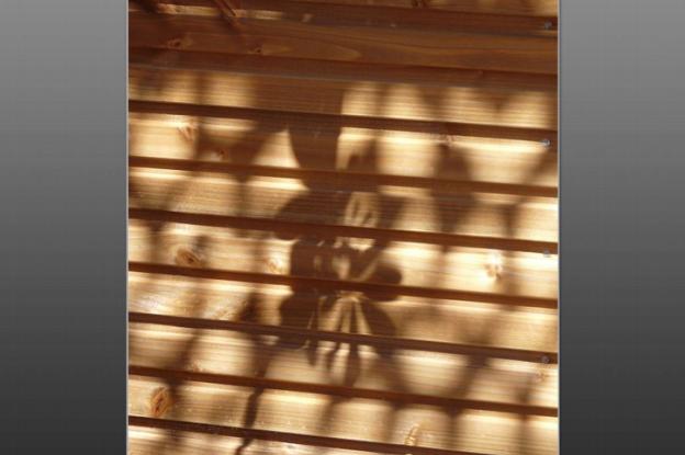 arles2.jpg