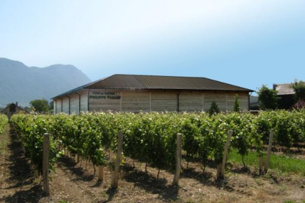 stockage-vins-image-une.jpg