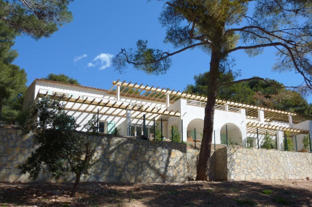 pinedes1.jpg