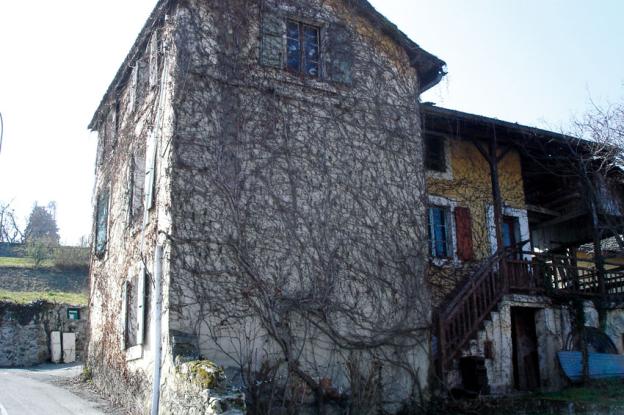 06.jpg