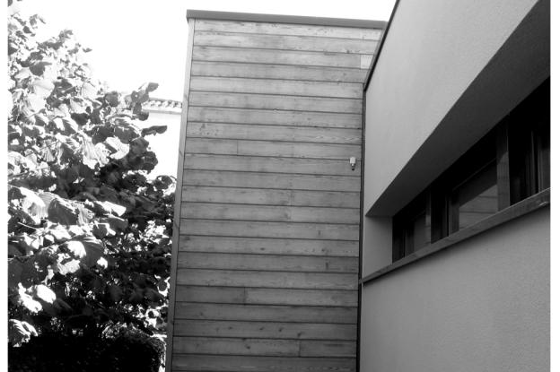 pic5.jpg
