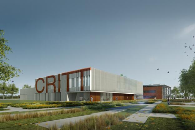 critt-04.jpg