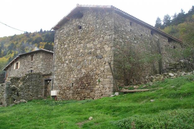 photo_7.jpg