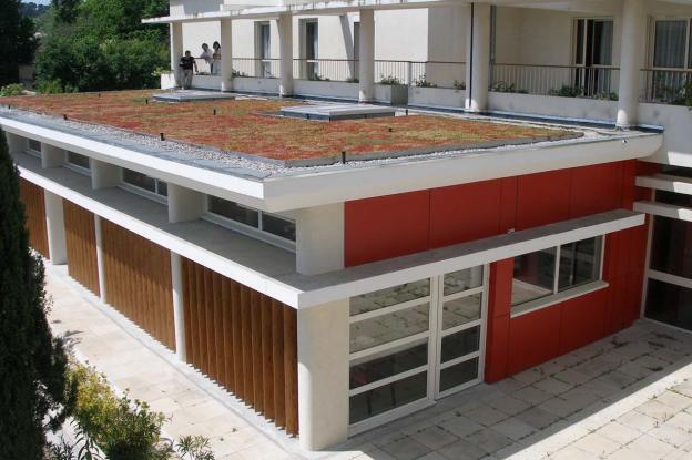extension_avec_terrasse_vegetalisee.jpg