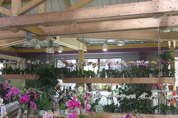 magasin_de_flaurs_a_houdain_2.jpg