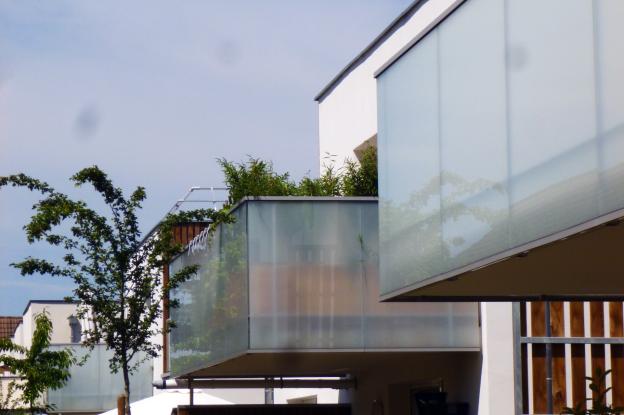 p1060366_modif.jpg