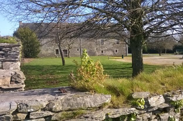 wp_20230215_001.jpg