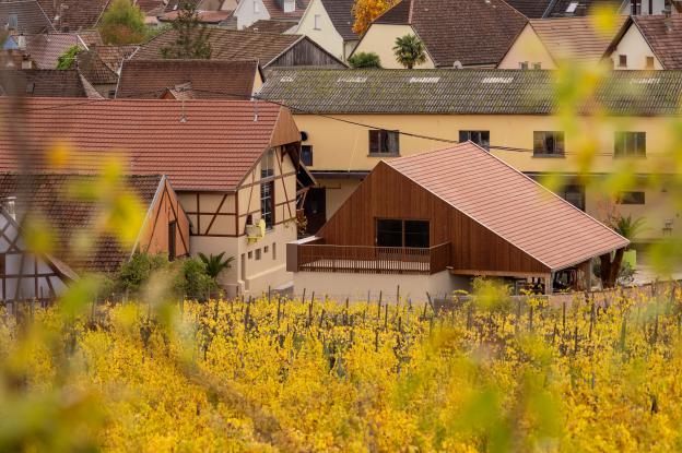 wettolsheim_wm-10.jpg