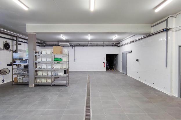 Vue générale du site