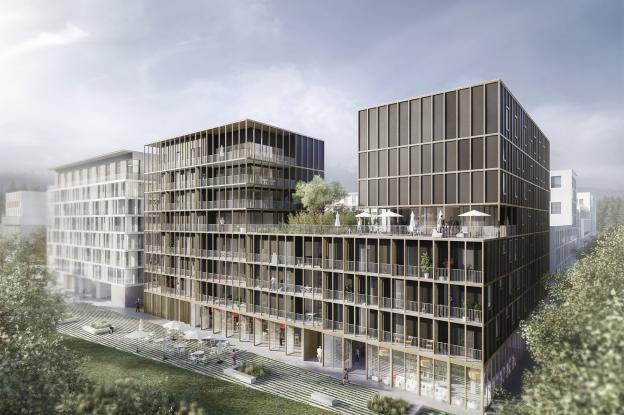 Perspective : Ludovic Zacchi