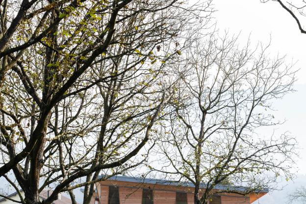 Vue extérieure - L'école dans son environnement @François Croisille