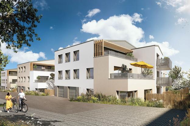 Perspective projet