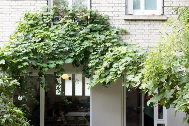 Qualification du jardin, aménagement de la terrasse 