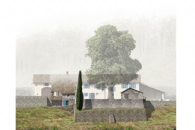 Etat des lieux - Elévation générale