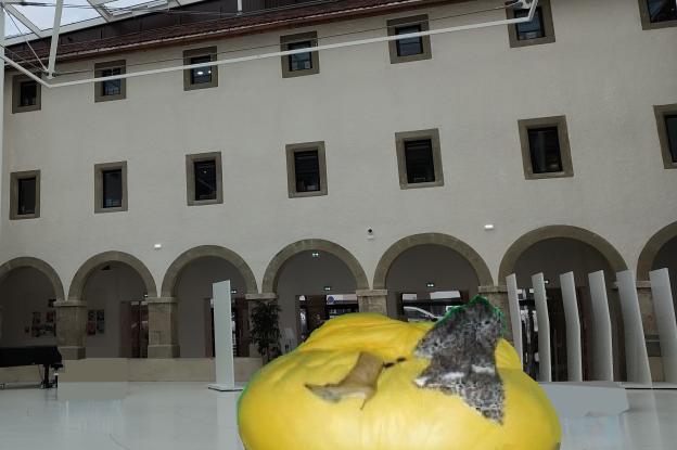 meuble : canapé pour lycéens : grapefruit 