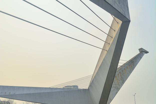 Chim Lac Viet, Cong Vien Hoa Binh, Ha Noi, millénaire Hanoi, Vietnam, Jardin Planétaire, espaces publics, espaces verts, biodiversité, écosystème, transition écologique