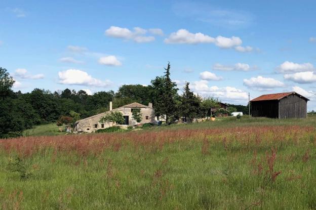 PEYROUTEOU paysage