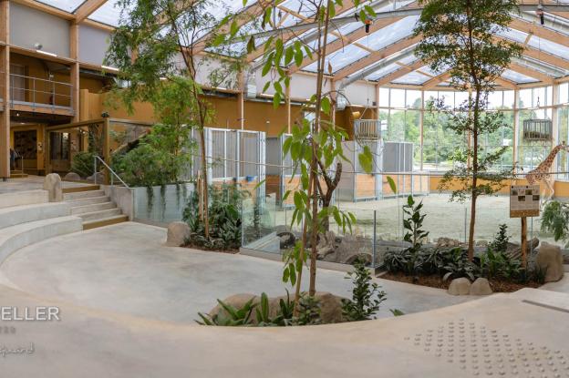Espace Savane