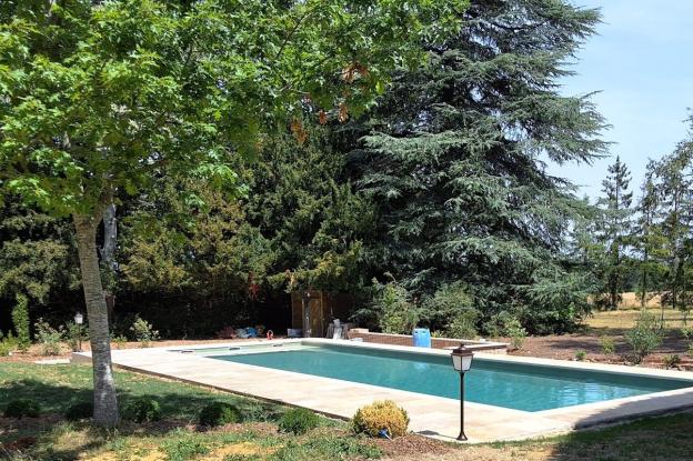 L’espace de baignade niché au milieu des arbres