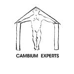 entete_cambium_experts.jpg