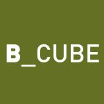 logo_b_cube_2.jpg
