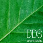logo_dds_g.jpg