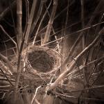 remi_turc_architecte_chateau-thierry_reims_epernay_nid5filtre.jpg