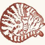 logo_chat_fond_canson.jpg