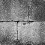 img_0253_noir_et_blanc_recadre_carre.jpg