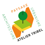 tribel-4.png