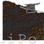logo_lipo.jpg
